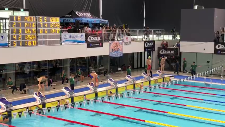 Natación Adulto Master